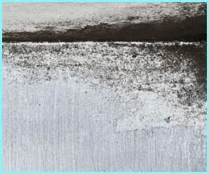 Delray Beach Emergency Restoration Delray Beach, FL 561-328-1370 - mold-side