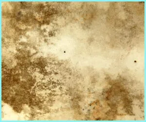 Delray Beach Emergency Restoration Delray Beach, FL 561-328-1370 - water-damage-side